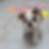 step 2 eb.png