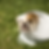 step 5 eb.png