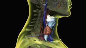 The SGB shot: The shot in the neck that can help you fight PTSD.