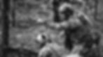 34b0f5a5-06a4-4852-ac11-b1f734fece5a_edited_edited.jpg