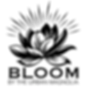 logo_black_web_transparent.png