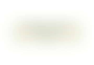 Opinion Writing: Mizzou vs. NCAA Opinion Column
