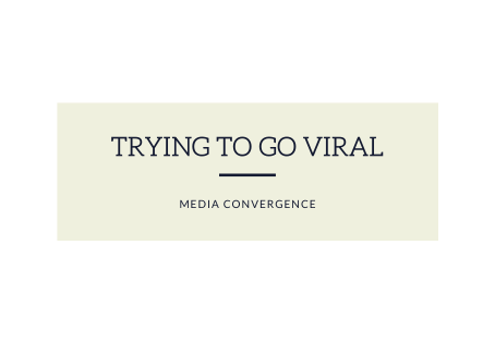 Attempting a Viral Sensation
