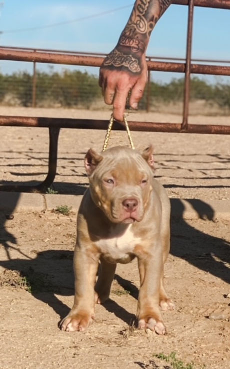 Kahn 10 Weeks.jpeg