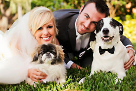 A Ceremony of Holy Muttrimony