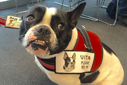 Screen Shot 2017-11-30 at 9.19.50 AM