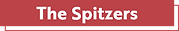 Sincerely, The Spitzers