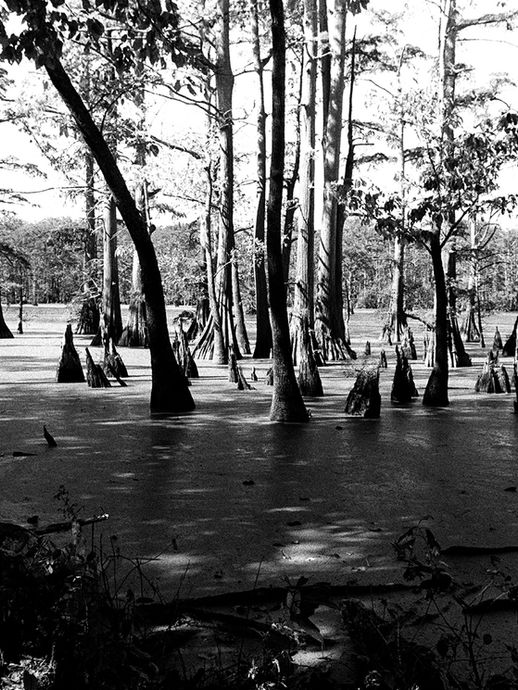 "Should we fishing, or look for Bigfoot in Horseshoe Lake?”  Olive Branch, Illinois - 1987