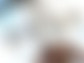 КАК СОЗДАТЬ СТРУКТУРУ БЛОГА ЗА 1 ЧАС