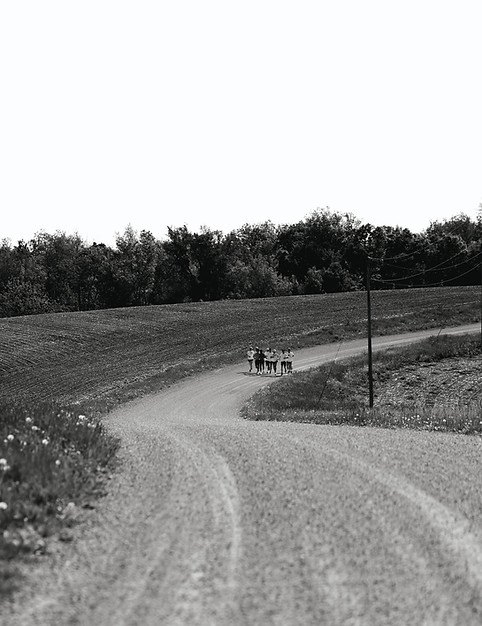 Driftless LR-251.JPG