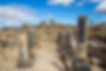 The ruins of Volubilis, Morocco .jpg