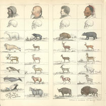 How Missionaries Taught Darwin Not to Be  Racist