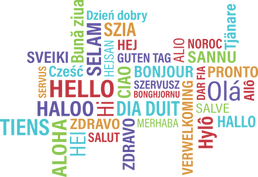America Needs an Official Language