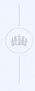 Miss Tourism Official Crown Divider