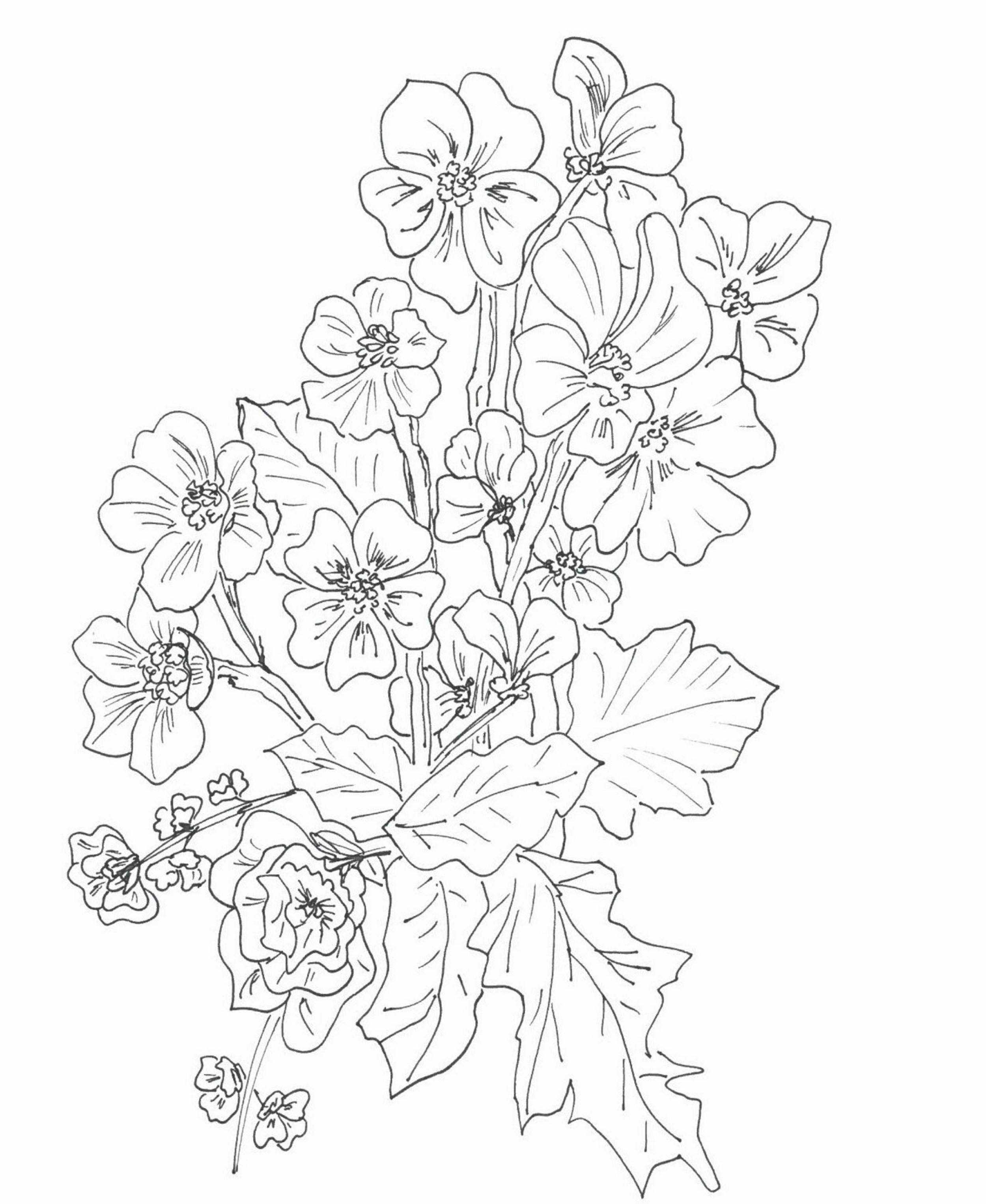CWODesign