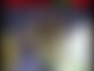 青年偷運六百萬大麻花被捕