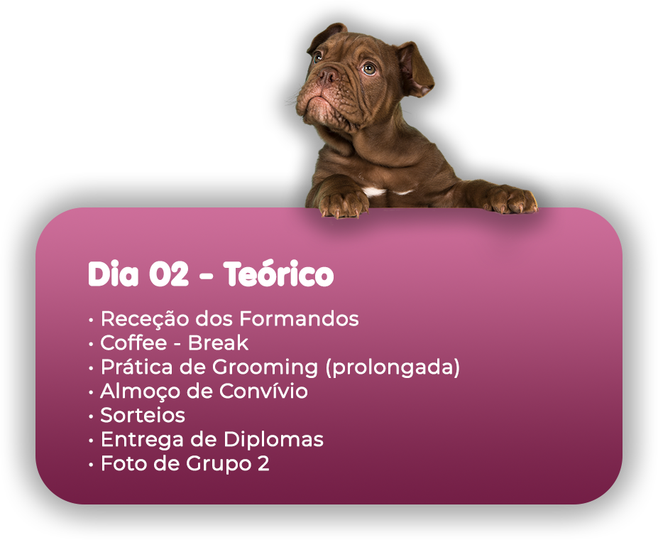 CARD CRONOGRAMA 02.png