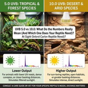 UVB 5.0 vs 10.0: What Do the Numbers Really Mean (And Which One Does Your Reptile Need)?