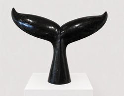 Whale Tail