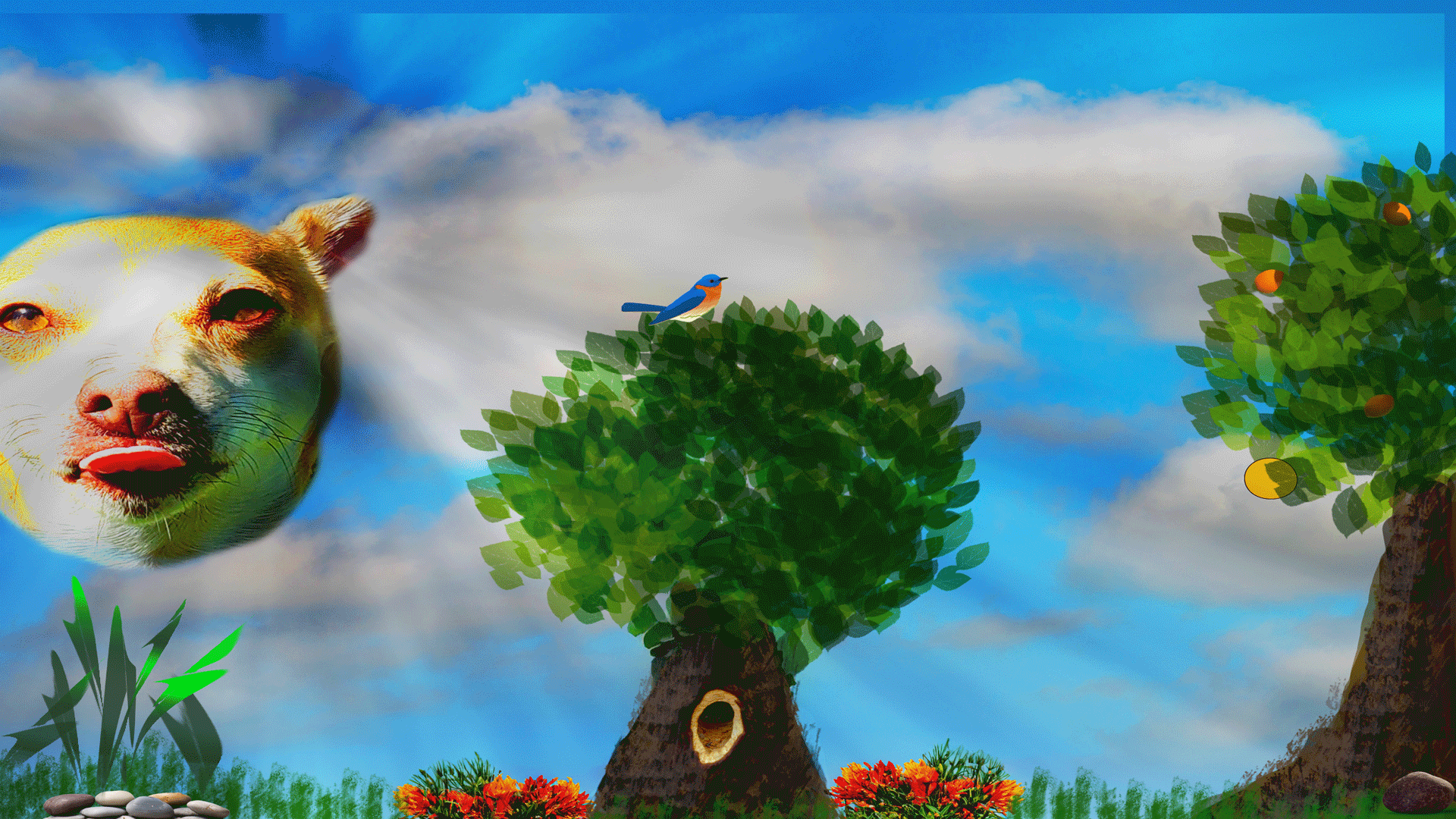 final-project digital imaging class.gif