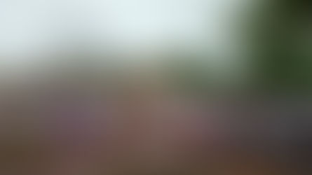 Investiture Ceremony