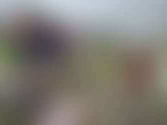 CONSCIÊNCIA ÉTICA DO MUNDO