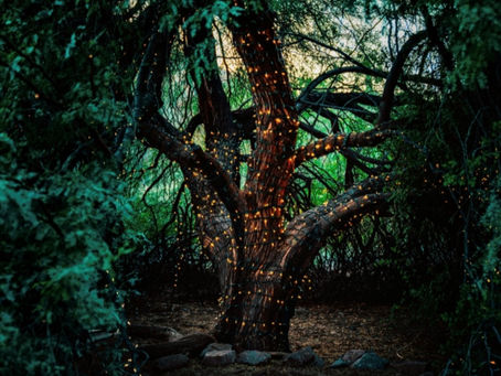 Let's talk abundance!