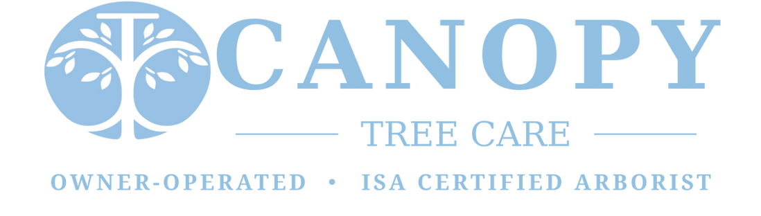 Logo for Canopy Tree Care