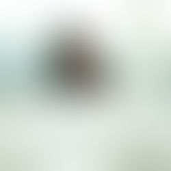 Julliahann Washington