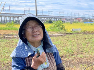 大地の恵みをいただく、野菜の収穫体験。