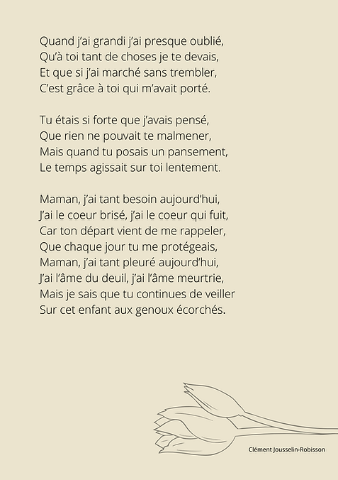 Les genoux écorchés (2) (1).png