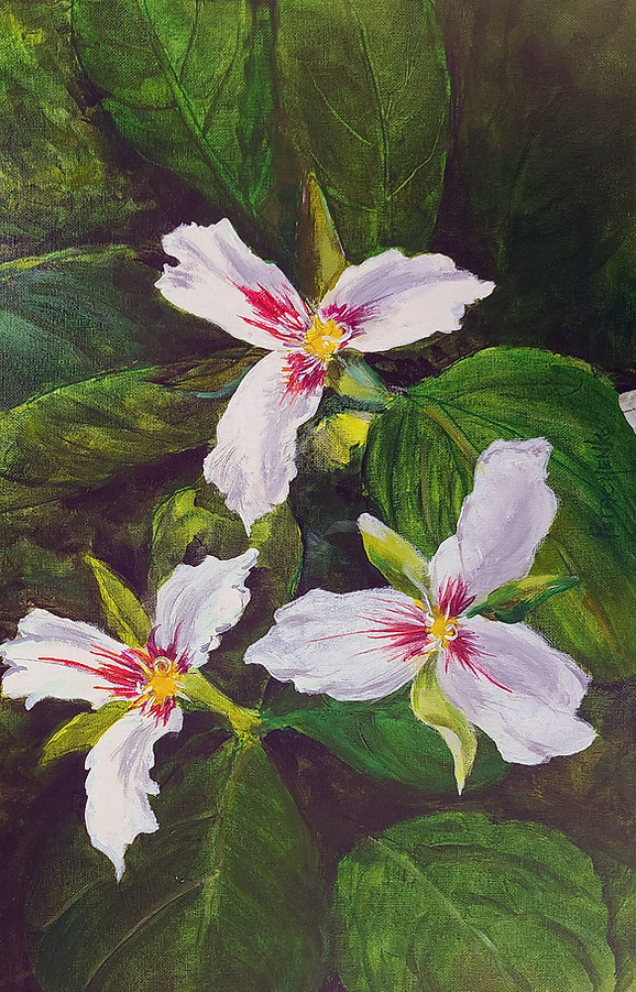 Trillium