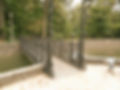 Parcul mare 3_edited.jpg
