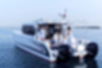 SilverCAT-40LUX3.jpg