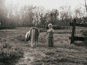 On the Family Farm
