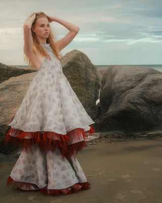 On the Model