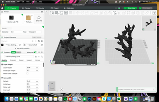 Coral Bust Piece Bambu Studios Slicing Process