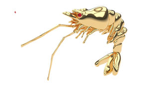 Shrimp rendered