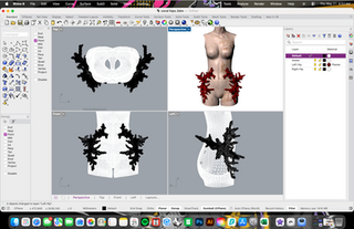 Rhino File for Hips