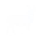 Mesh Core New Zealand hunting (1).png