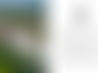 Houston Real Estate Blog: Market Trends for the Remaining Months of 2024