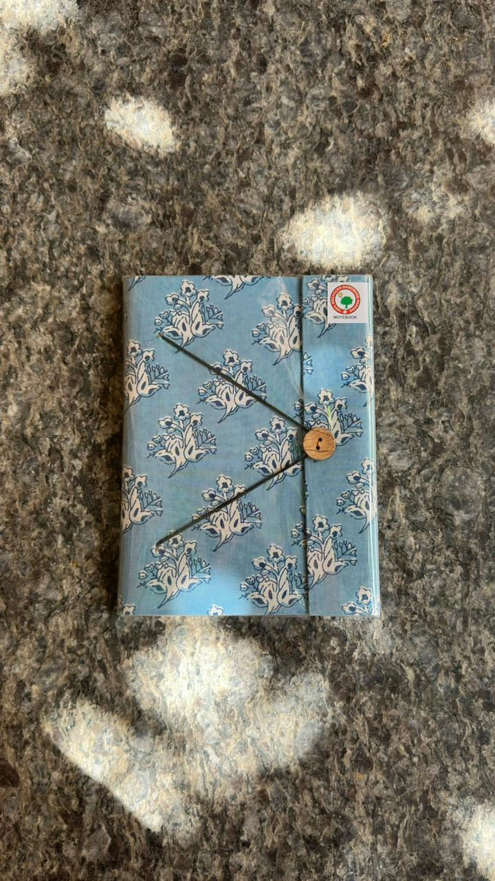 Miniatura: Libretas de verano