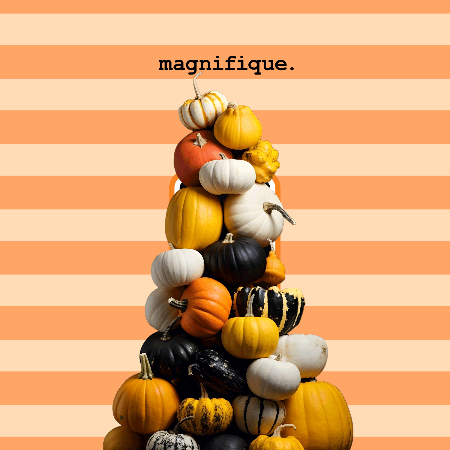 MAN-248-PUMPKIN-PUREE.gif
