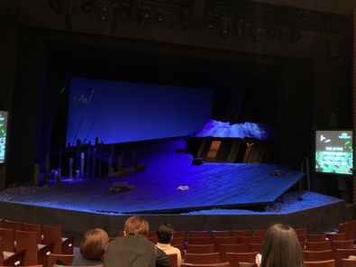 How to Keep the Theatre Ecosystem?