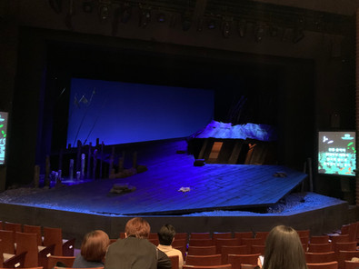 How to Keep the Theatre Ecosystem?