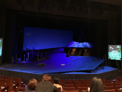 How to Keep the Theatre Ecosystem?