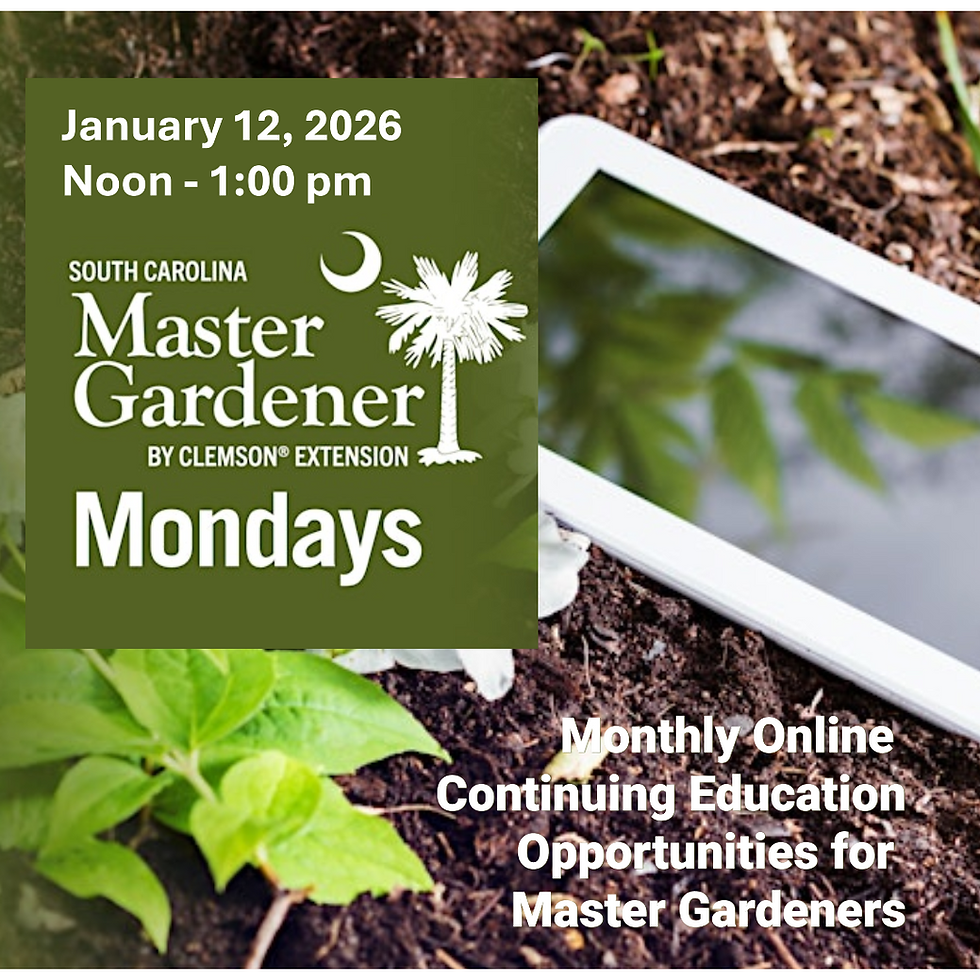 Master Gardener Monday - Houseplant Care