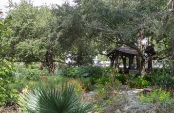 Historic Columbia Tree Trek