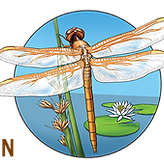 master-naturalist-logo.png