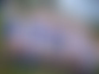 C-Jugend weiter erfolgreich